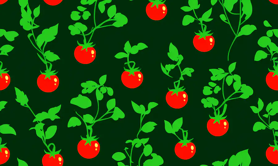 Vibrant tomater vokser på vines i en frodig grøn baggrund.