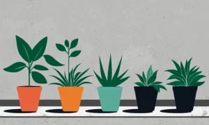 Vibrant grønne planter vokser i små potter midt i konkrete urbane omgivelser.